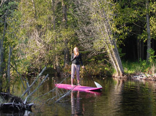Door County Paddleboarding Exploring a wetlands preserve on a paddleboard