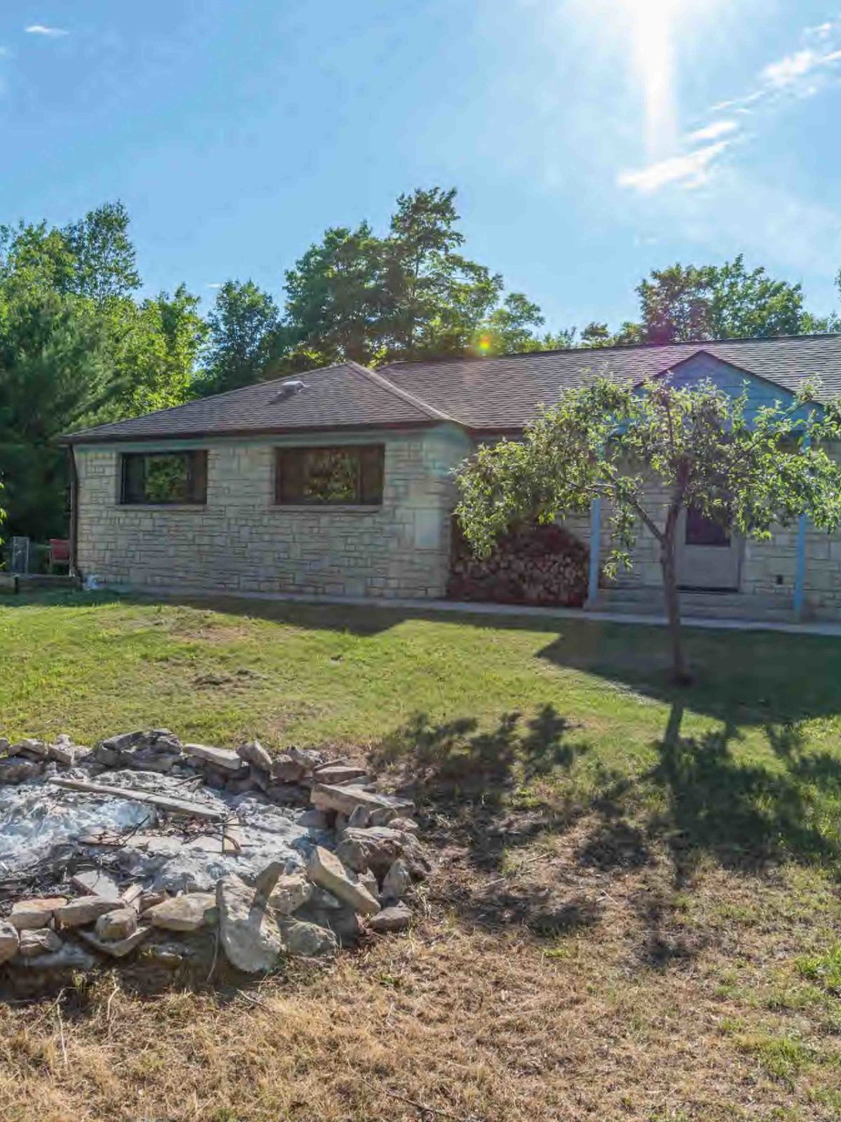a large reptile in the grass