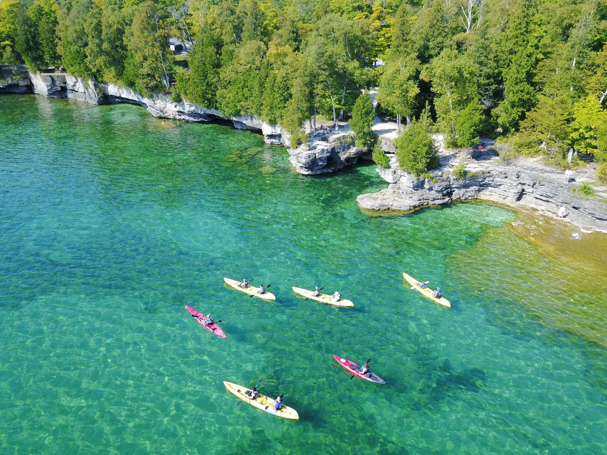 a flock of seagulls next to a body of water