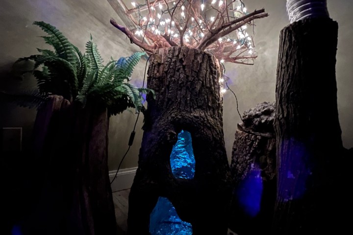 a christmas tree in a room